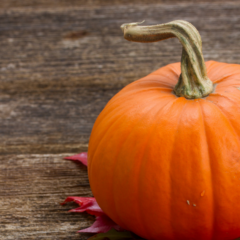 Let Your Excitement for Pumpkins Benefit Your Oral Health ~ For News