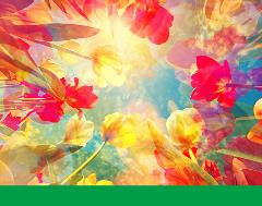 3-14-22_Spring_B 3-14-22_Spring_B