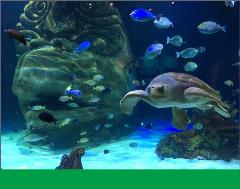 9-27-21_Orlando_B 9-27-21_Orlando_B